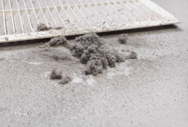 Best HVAC Air Duct Cleaning  in Bay Pines, FL