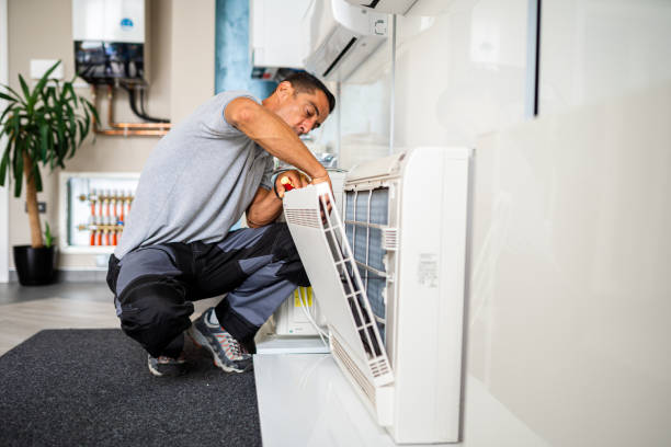 Best Air Duct Sanitizing Services  in Bay Pines, FL