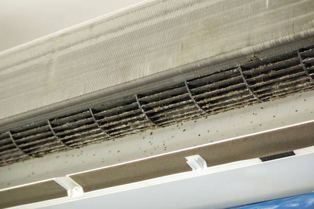 Best Air Duct Cleaning Near Me  in Bay Pines, FL